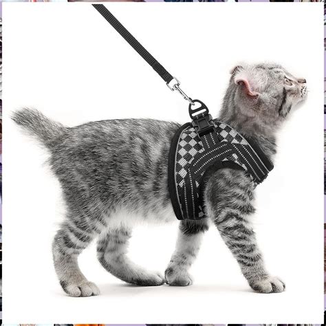 Rabbitgoo Cat Harness And Leash Set For Walking Escape Proof Adjustable