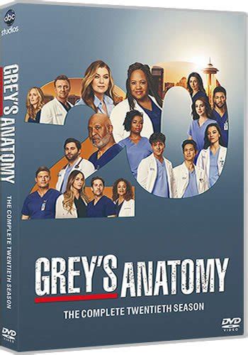 Grey's Anatomy Season 20 (3-Disc DVD 2024) - Wholesale DVDs ...