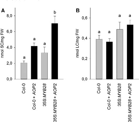 Figure From The Glucosinolate Biosynthetic Gene Aop Mediates Feed