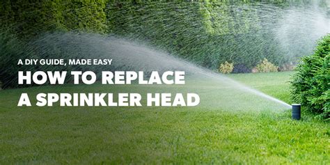 How To Replace A Sprinkler Head A DIY Guide Made Easy Sprinkler School