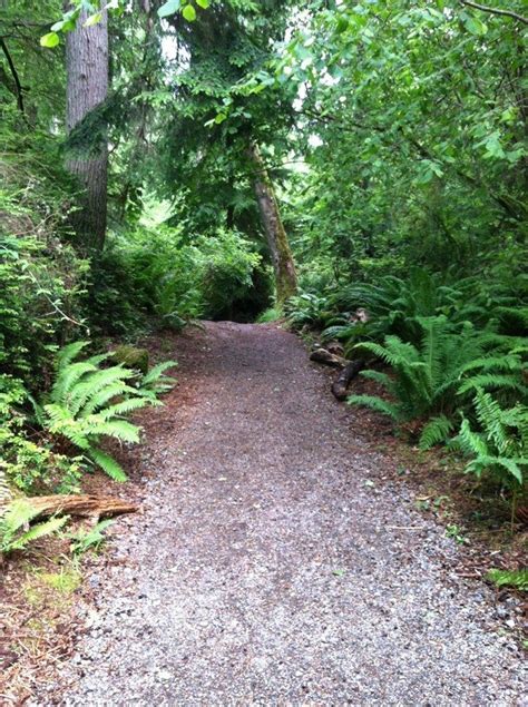 Point Defiance Park Trails | Park trails, Pierce county washington ...