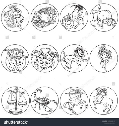 Zodiac Signs Set Linear Illustrations Animals Stock Vector (Royalty ...