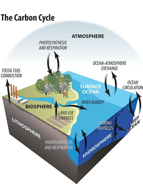 Earth Science Week Resources · The NEED Project