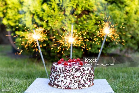 Black Forest Cake With Cherries Chocolate Chips And Whipped Cream ...