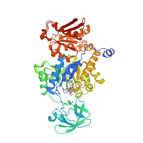 Rcsb Pdb Hqp Crystal Structure Of Leishmania Mexicana Pyruvate