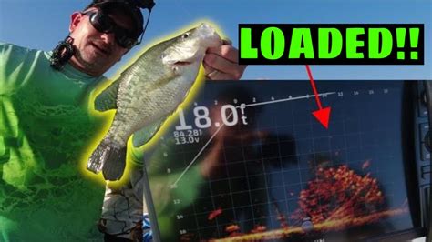 Crappie Fishing A Giant Brush Pile With A Diy Jig Wow Youtube