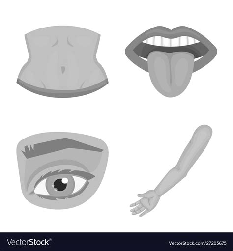 Design Body And Part Symbol Set Royalty Free Vector Image