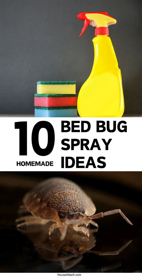 10 Homemade Bed Bug Spray Ideas that Works