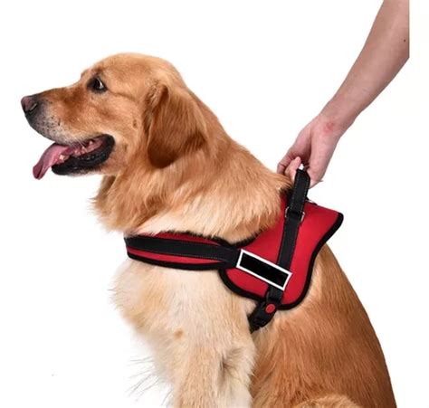 Pretal Arn S Pechera Regulable Acolchonado Para Perros Xl Mercadolibre