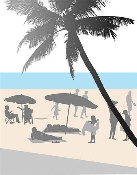 Shadow Palm Trees Tropical Beach Cartoon Illustrations Royalty Free