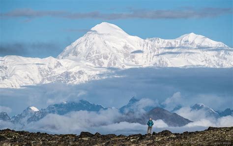 Denali View | Denali State Park, Alaska | Mountain Photography by Jack Brauer