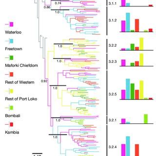 Geographical Distribution And Phylogenetic Analysis Of The 2014 EBOV