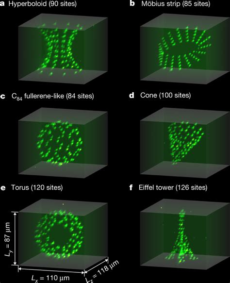 Single Atom Fluorescence In D Arrays Af Maximum Intensity Projection