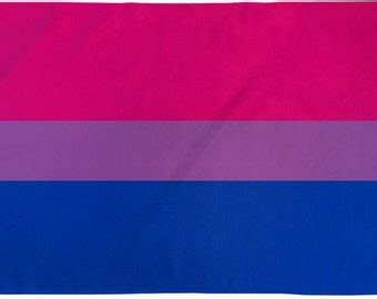 Bisexual Flag LGBT Flag Rainbow Flag X Lgbt Flag Gay Pride Flag Equality Flag Gay Pride