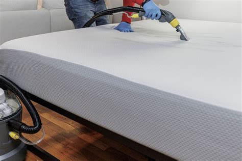 Amazing Steamer For Bed Bugs For Storables