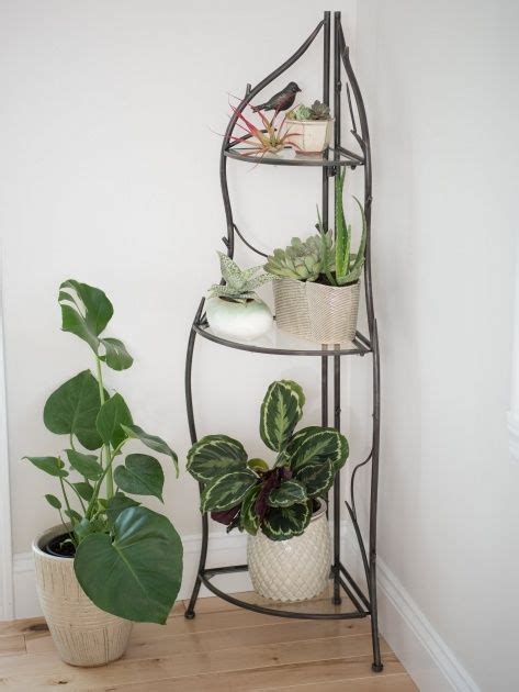 Corner Plant Stand | Plant decor, Corner plant, Diy home decor