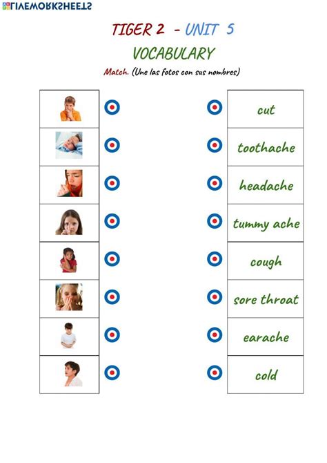 106279 Tiger 2 Unit 5 Vocabulary Matching