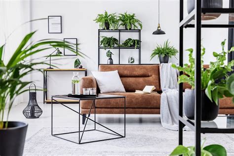 Plantas Em Apartamento Como Usar Tecnisa