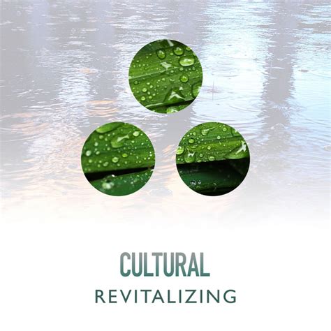 Zzz Cultural Revitalizing Rain Harmonies Zzz Album By Loopable Rain