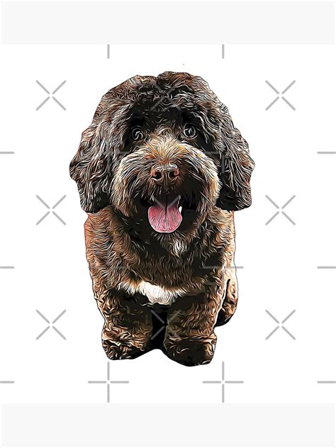 " Cockapoo Chocolate Goldendoodle Labradoodle Puppy Dog Poodle Mix" Poster by Elarex | Redbubble