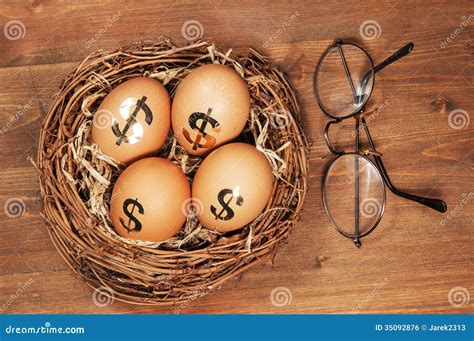 Retirement Nest Egg Stock Photo Image Of Financial Statement 35092876