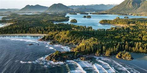 Eco Friendly Packaging Canada | Flexible & Sustainable | Rootree