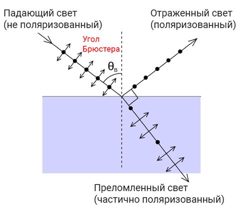 Как используется поляризованный свет в фотографии. » Евгений Карташов