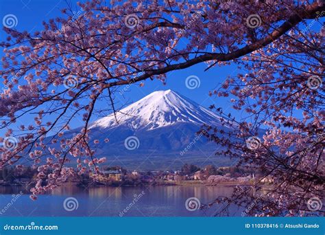 Mount Fuji and Cherry Blossoms from Lake Kawaguchi Japan Stock Photo ...