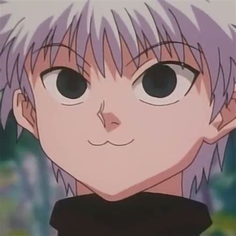 Killua Cat Like Killua Zoldyck Photo 39903390 Fanpop