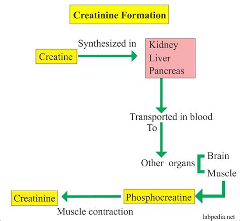 Serum Creatinine Homecare