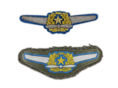 Army Air Force Pilot Badge - TracesOfWar.com