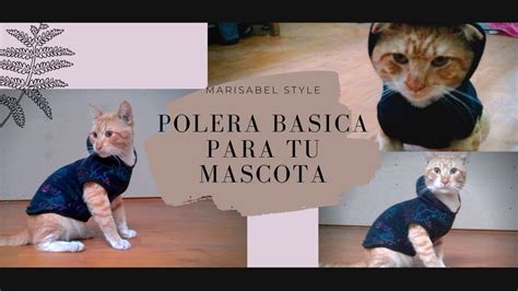 Como Hacer Ropa Para Tu Gato O Perrito Aprende A Realizar El Molde Y