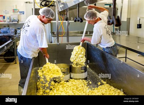 Cheesemakers At Work At Award Winning Factory In Pyengana Tasmania