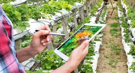 5 Technologies That Are Revolutionizing Farming Florida Independent