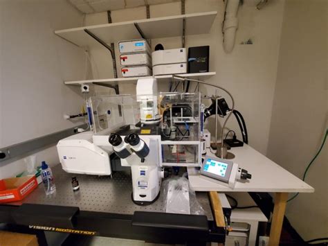 Zeiss LSM800 GaAsP Microscope Facility