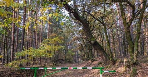 W Polsce Powstanie Pierwszy Od Ponad Lat Park Narodowy Wiceminister