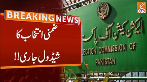 ECP Schedule On Senate Seat Breaking News GNN YouTube