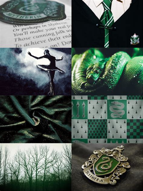 Pin↠ Eeliah Slytherin Pride Slytherin House Hogwarts Houses