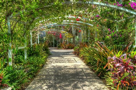 Orto Botanico Di Napoli Un Esperienza Immersiva Nella Natura Napoliving