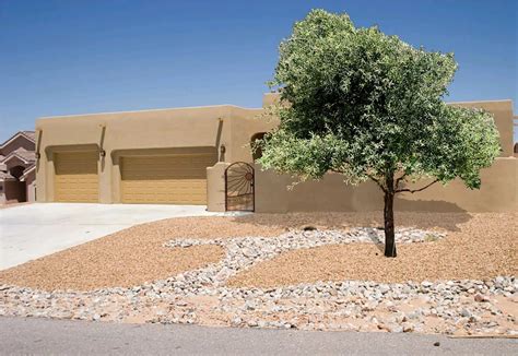 Shade Trees For The Desert Southwest Guzmans Greenhouse