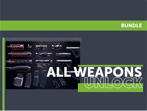 Buy Modern Warfare 2 All Weapons Unlock Bundle Lfcarry