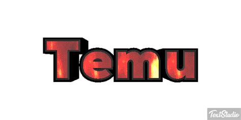 Temu Brand Animated  Logo Designs