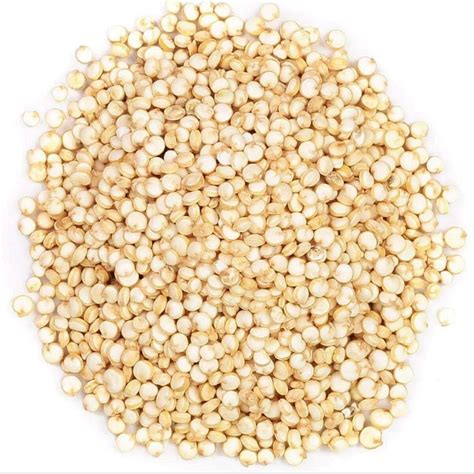 Comprar Grãos de Quinua quinoa Branca de R 7 55 a R 15 10 Empório