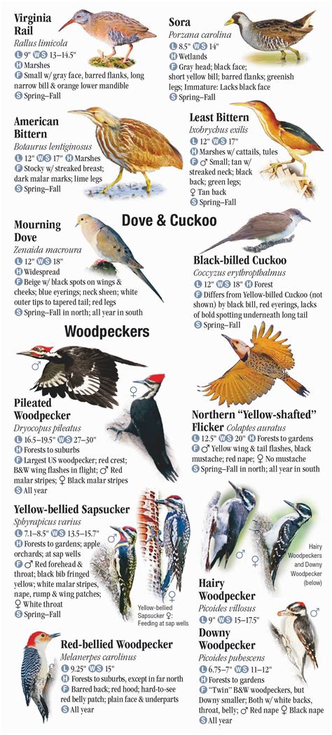 Birds of Wisconsin – Quick Reference Publishing Retail