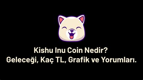 Kishu Coin Nedir Yorum Grafik Geleceği ve Fiyat Tahmini