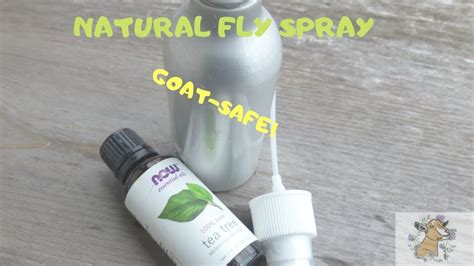 Homemade Natural Fly Spray Youtube