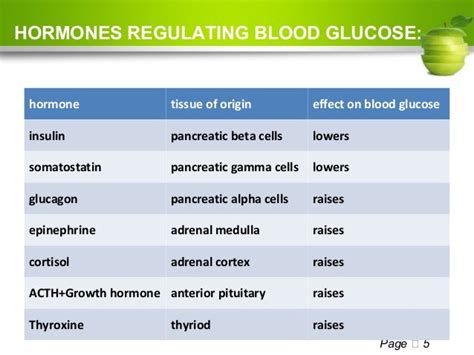 Regulation Of Body Glucose