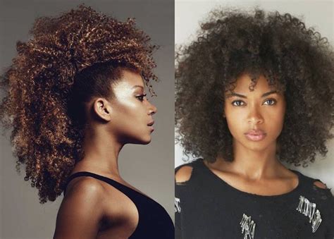 20 Afro Hairstyles For African American Womans Feed Inspiration