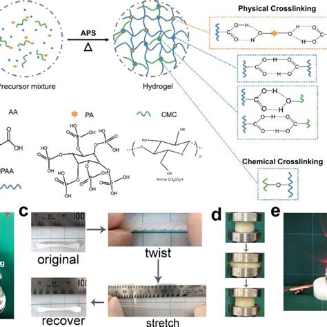 Hydrogel Based Wearable Sensors For The Real Time Detection Of Human