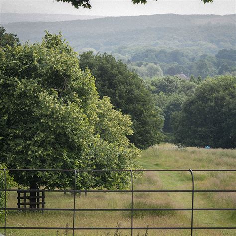 Wentworth Castle – Wild Yorkshire